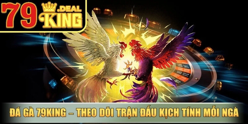 Đá Gà 79king – Theo dõi trận đấu kịch tính mỗi ngày